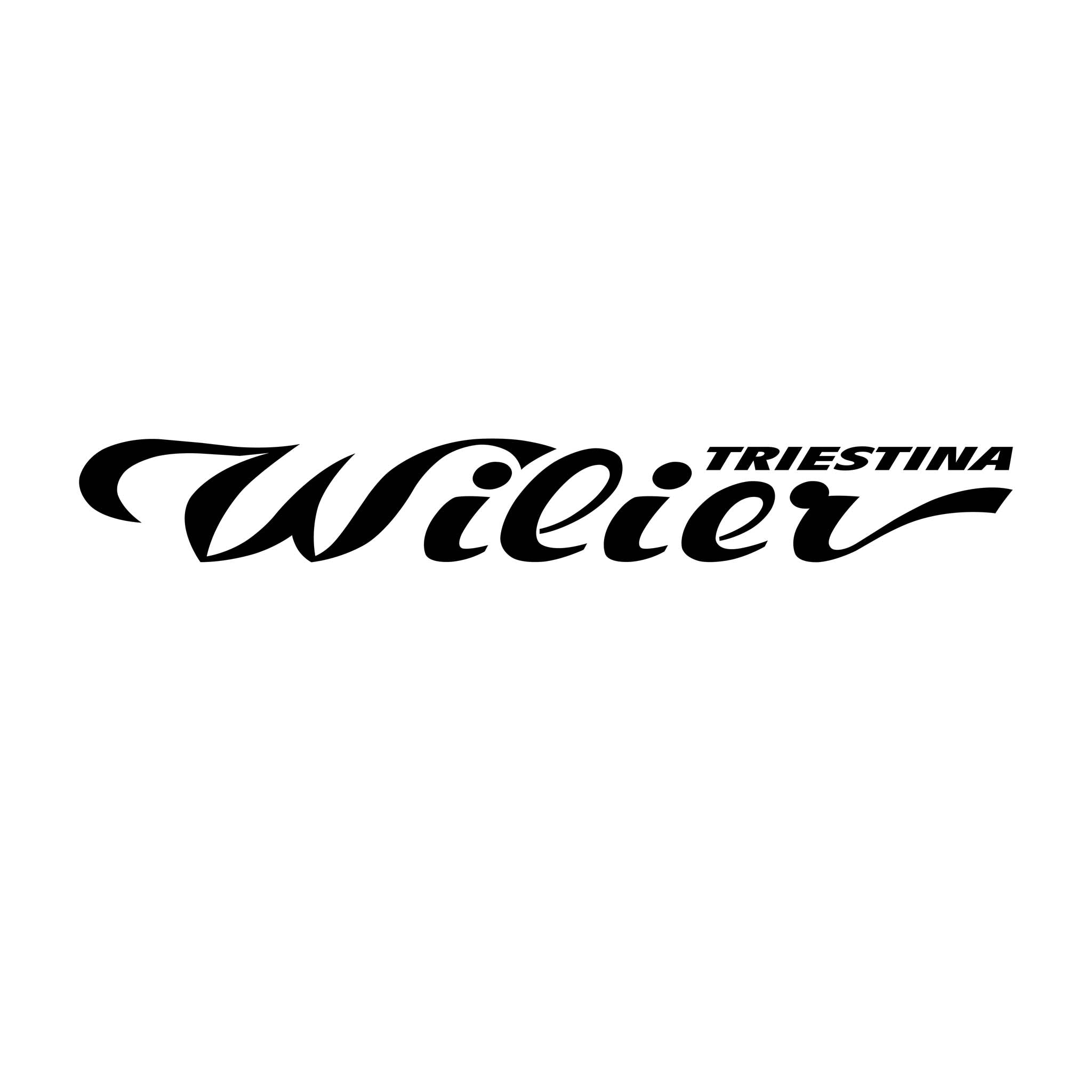 Wilier Apparels