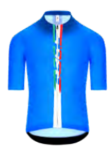 GREGARIUS PRO RACING STRIPE