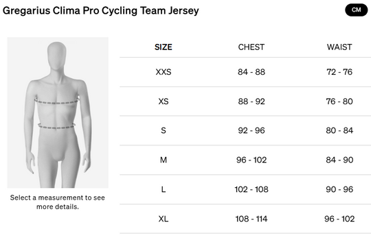 GREGARIUS PINARELLO JERSEY