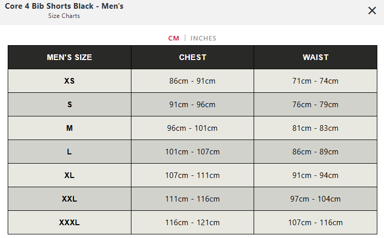 SHORTS BIB CORE 4
