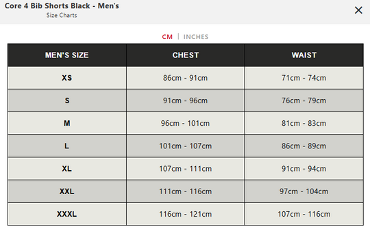 SHORTS BIB CORE 4