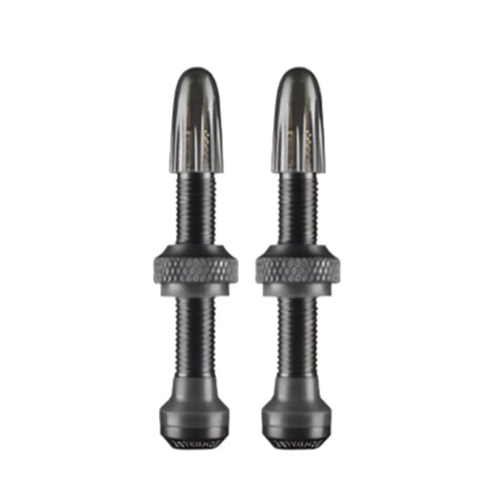 Tubeless Valve