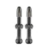 Tubeless Valve